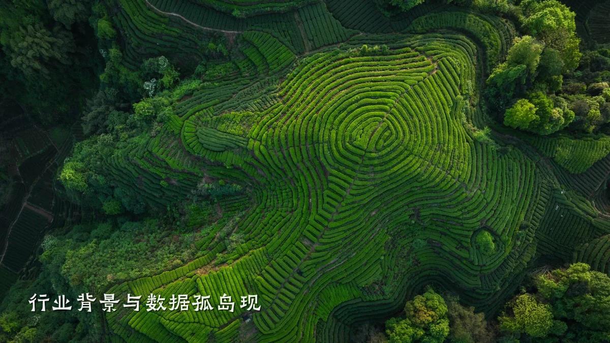 行业背景与数据孤岛现