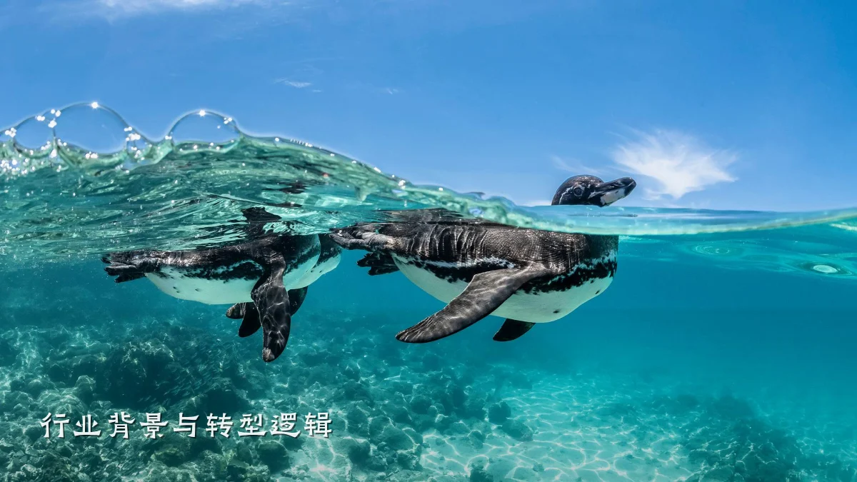 行业背景与转型逻辑