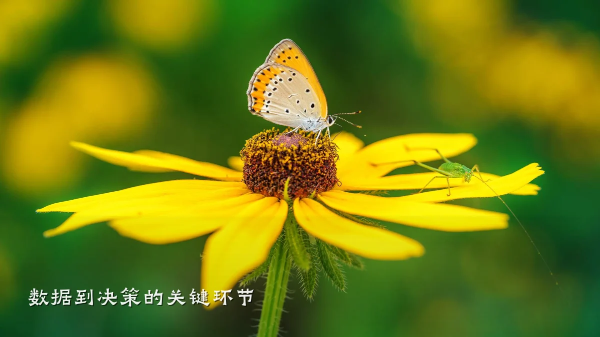 数据到决策的关键环节