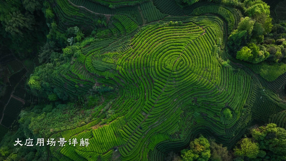 大应用场景详解