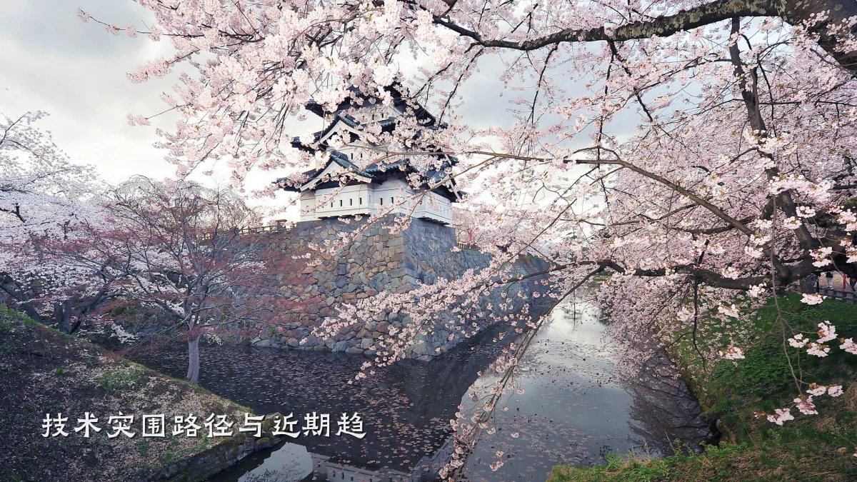 技术突围路径与近期趋