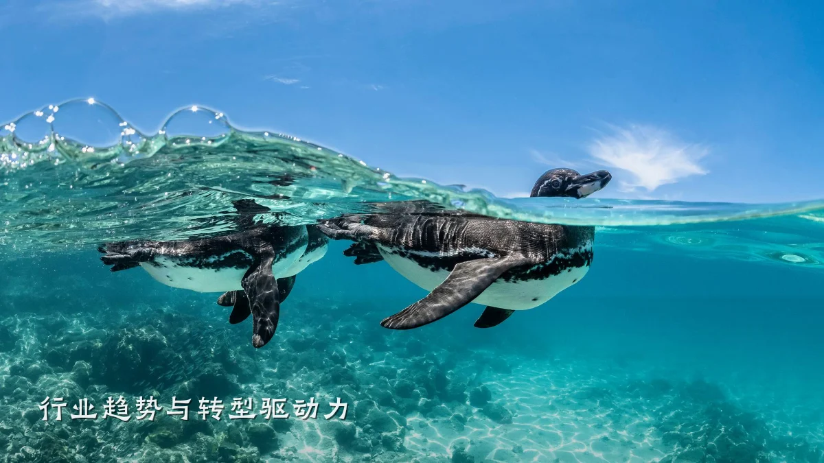 行业趋势与转型驱动力