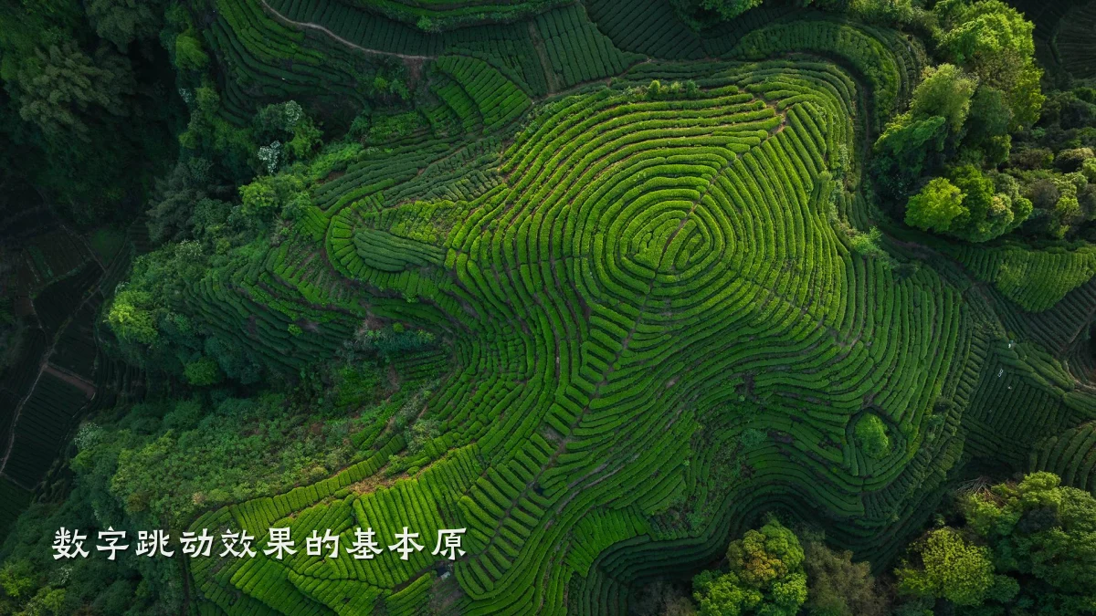 数字跳动效果的基本原