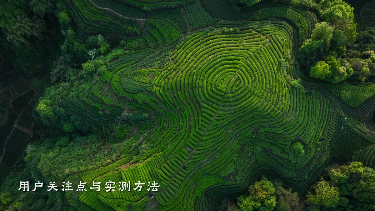 用户关注点与实测方法