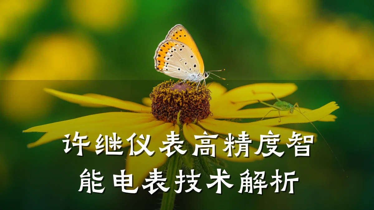 许继仪表高精度智能电表技术解析