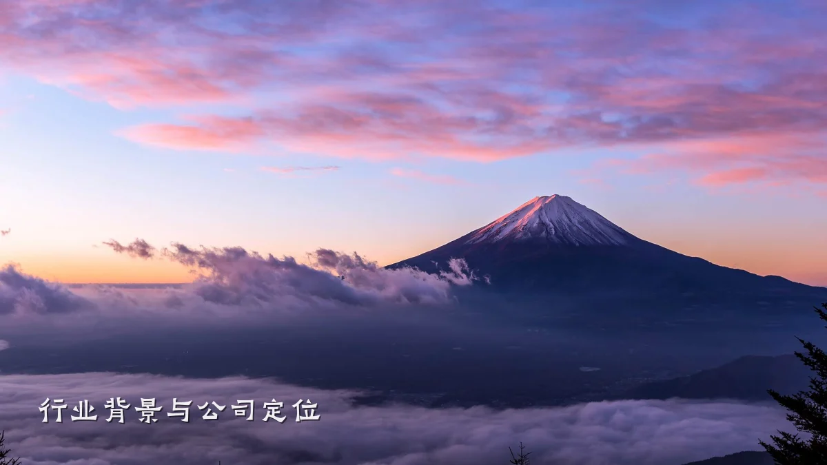 行业背景与公司定位