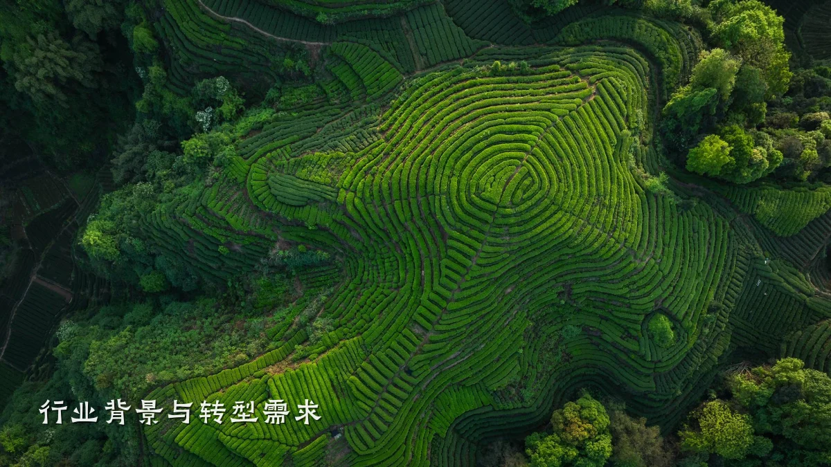 行业背景与转型需求