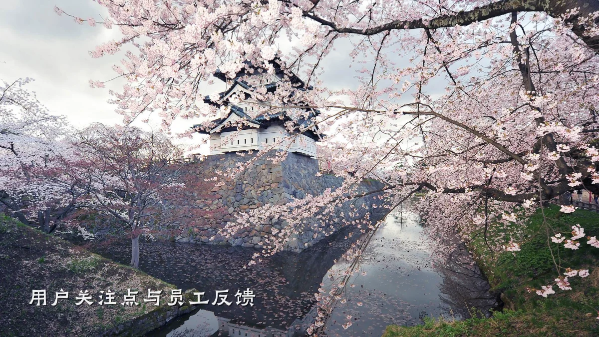 用户关注点与员工反馈