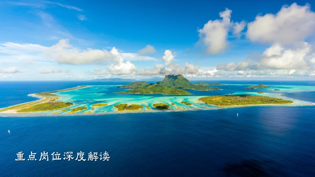 重点岗位深度解读