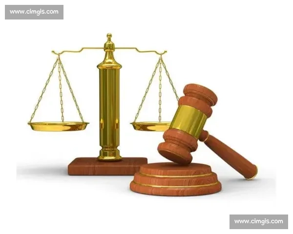 裁判判决对案件结果的深远影响及其对司法公正性的保障作用分析